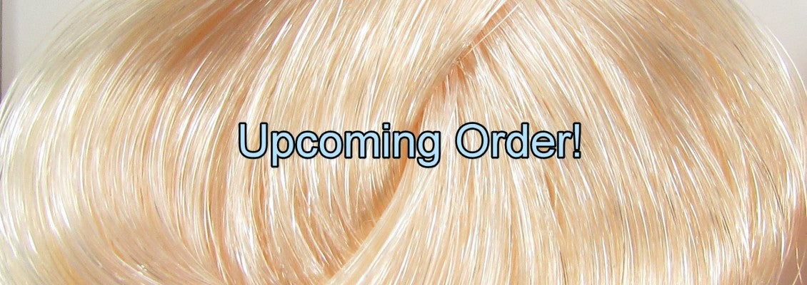 Upcoming Nylon Order